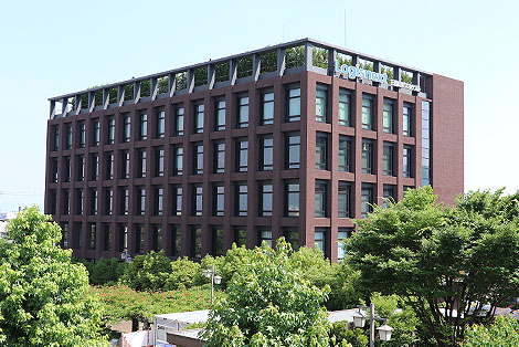 Company Profile